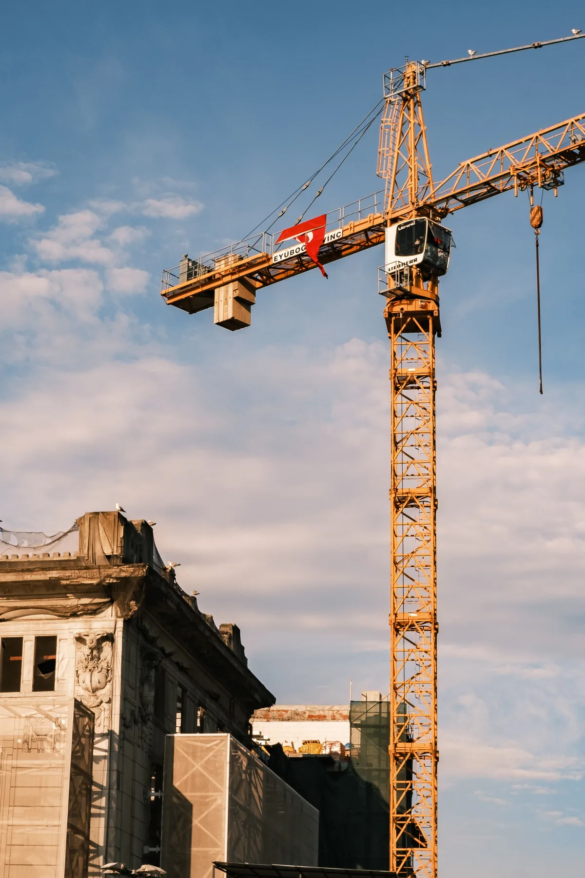 Tower cranes at a construction and contracting project